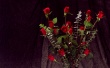Bunch of Red Roses Wallpaer