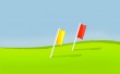 Two Flags Wallpaer