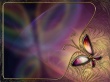 Butterfly Desk Wallpaer