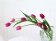 Home Flower Wallpaer