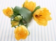 Home Flowers Wallpaer