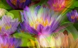 Width Flower Wallpaer