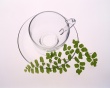Season Tea Wallpaer