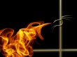 Go Away! Wallpaer