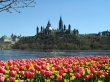 Parliament Hill Wallpaer