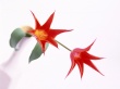 Claws Wallpaer