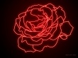 Neon Rose Wallpaer