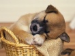 I Miss U Wallpaer