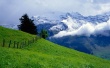 Green Over Clouds Wallpaer
