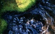 Rivulet Ripple Wallpaer