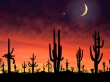 Arizona Wallpaer