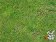 Easter Day Wallpaer