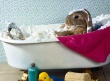 Easter Bunny Bath Wallpaer