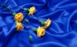 Rose Art Wallpaer