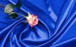 Rose Art Style Wallpaer
