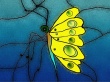 Stained Butterfly Wallpaer