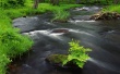 River Across Wallpaer