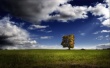 Elevation Wallpaer