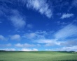 Fresh Fields Wallpaer