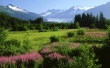 New Land Wallpaer