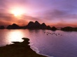 The Flock Wallpaer
