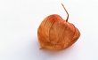 Empty Fruit Wallpaer