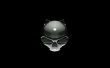 Cat Skull Wallpaer