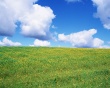 May Glade Wallpaer