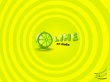 Lime Art Studio Wallpaer