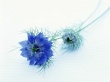 Flowers Wallpaer