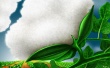 Cotton Wallpaer