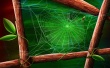 Through the Mesh Wallpaer
