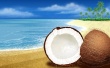 Coconuts Wallpaer
