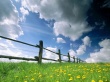 Sky From Grass Wallpaer