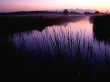 Sunset in Refuge Wallpaer