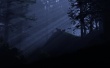Night Children Wallpaer