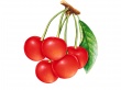 Red Cherry Wallpaer