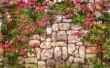 Flowers Wall Wallpaer