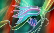 Width Flower Wallpaer