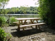 Ready for Picnic Wallpaer