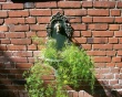 Wall Greenpiece Wallpaer
