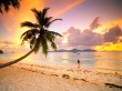 Palm Beach Wallpaer