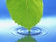Ripples Wallpaer