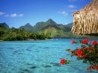 Tranquil Lagoon Wallpaer