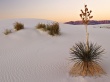 Adomed Sand Wallpaer