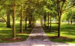 A shiny day in park Wallpaer