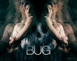Bug Wallpaer