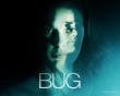Bug Wallpaer