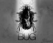 Bug Wallpaer