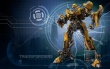 Bumblebee Wallpaer